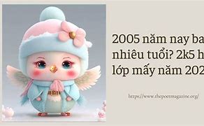 2005 Năm 2024 Bao Nhiêu Tuổi Âm